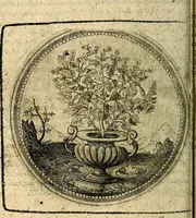 Picture 85 of 398 from Joachimi Camerarii Symbolorum et emblematum, centuriae quatuor .. (1668), leaf 177