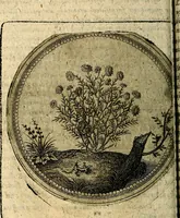 An illustration from Joachimi Camerarii Symbolorum et emblematum, centuriae quatuor .. (1668)