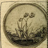 An illustration from Joachimi Camerarii Symbolorum et emblematum, centuriae quatuor .. (1668)