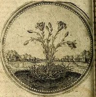 Picture 90 of 398 from Joachimi Camerarii Symbolorum et emblematum, centuriae quatuor .. (1668), leaf 187