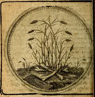 An illustration from Joachimi Camerarii Symbolorum et emblematum, centuriae quatuor .. (1668)