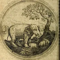 An illustration from Joachimi Camerarii Symbolorum et emblematum, centuriae quatuor .. (1668)