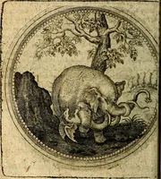 Picture 104 of 398 from Joachimi Camerarii Symbolorum et emblematum, centuriae quatuor .. (1668), leaf 217