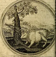 An illustration from Joachimi Camerarii Symbolorum et emblematum, centuriae quatuor .. (1668)