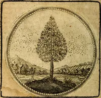 Picture 9 of 398 from Joachimi Camerarii Symbolorum et emblematum, centuriae quatuor .. (1668), leaf 25
