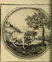An illustration from Joachimi Camerarii Symbolorum et emblematum, centuriae quatuor .. (1668)