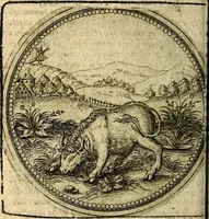 An illustration from Joachimi Camerarii Symbolorum et emblematum, centuriae quatuor .. (1668)
