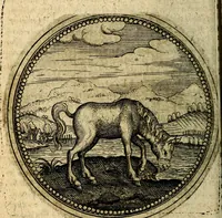 An illustration from Joachimi Camerarii Symbolorum et emblematum, centuriae quatuor .. (1668)