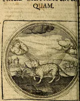Picture 139 of 398 from Joachimi Camerarii Symbolorum et emblematum, centuriae quatuor .. (1668), leaf 287