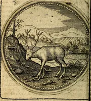 An illustration from Joachimi Camerarii Symbolorum et emblematum, centuriae quatuor .. (1668)
