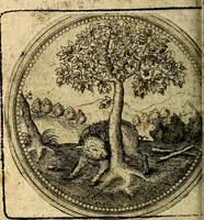An illustration from Joachimi Camerarii Symbolorum et emblematum, centuriae quatuor .. (1668)