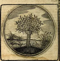 Picture 12 of 398 from Joachimi Camerarii Symbolorum et emblematum, centuriae quatuor .. (1668), leaf 31