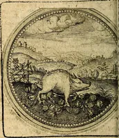 Picture 150 of 398 from Joachimi Camerarii Symbolorum et emblematum, centuriae quatuor .. (1668), leaf 311