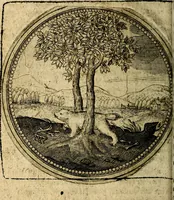 An illustration from Joachimi Camerarii Symbolorum et emblematum, centuriae quatuor .. (1668)