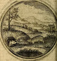 Picture 157 of 398 from Joachimi Camerarii Symbolorum et emblematum, centuriae quatuor .. (1668), leaf 325