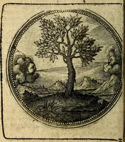 An illustration from Joachimi Camerarii Symbolorum et emblematum, centuriae quatuor .. (1668)