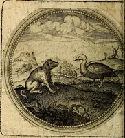 Picture 162 of 398 from Joachimi Camerarii Symbolorum et emblematum, centuriae quatuor .. (1668), leaf 335