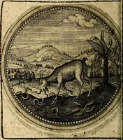An illustration from Joachimi Camerarii Symbolorum et emblematum, centuriae quatuor .. (1668)