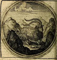 An illustration from Joachimi Camerarii Symbolorum et emblematum, centuriae quatuor .. (1668)
