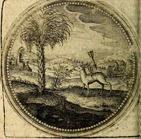 Picture 169 of 398 from Joachimi Camerarii Symbolorum et emblematum, centuriae quatuor .. (1668), leaf 349