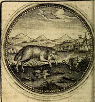 An illustration from Joachimi Camerarii Symbolorum et emblematum, centuriae quatuor .. (1668)