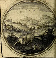 An illustration from Joachimi Camerarii Symbolorum et emblematum, centuriae quatuor .. (1668)