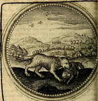 An illustration from Joachimi Camerarii Symbolorum et emblematum, centuriae quatuor .. (1668)