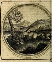 An illustration from Joachimi Camerarii Symbolorum et emblematum, centuriae quatuor .. (1668)