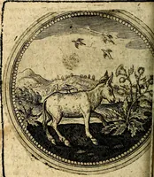 An illustration from Joachimi Camerarii Symbolorum et emblematum, centuriae quatuor .. (1668)