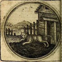Picture 178 of 398 from Joachimi Camerarii Symbolorum et emblematum, centuriae quatuor .. (1668), leaf 367