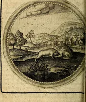 An illustration from Joachimi Camerarii Symbolorum et emblematum, centuriae quatuor .. (1668)