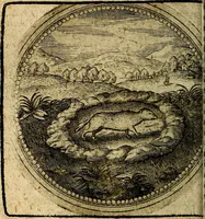 Picture 181 of 398 from Joachimi Camerarii Symbolorum et emblematum, centuriae quatuor .. (1668), leaf 373