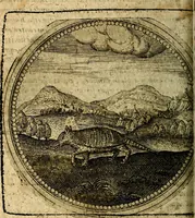 Picture 183 of 398 from Joachimi Camerarii Symbolorum et emblematum, centuriae quatuor .. (1668), leaf 377