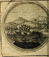 Picture 185 of 398 from Joachimi Camerarii Symbolorum et emblematum, centuriae quatuor .. (1668), leaf 381