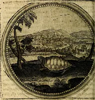Picture 191 of 398 from Joachimi Camerarii Symbolorum et emblematum, centuriae quatuor .. (1668), leaf 393