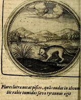 Picture 195 of 398 from Joachimi Camerarii Symbolorum et emblematum, centuriae quatuor .. (1668), leaf 401