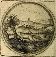 Picture 196 of 398 from Joachimi Camerarii Symbolorum et emblematum, centuriae quatuor .. (1668), leaf 403