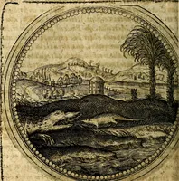 An illustration from Joachimi Camerarii Symbolorum et emblematum, centuriae quatuor .. (1668)