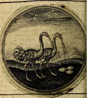 An illustration from Joachimi Camerarii Symbolorum et emblematum, centuriae quatuor .. (1668)