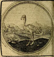 An illustration from Joachimi Camerarii Symbolorum et emblematum, centuriae quatuor .. (1668)