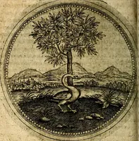 An illustration from Joachimi Camerarii Symbolorum et emblematum, centuriae quatuor .. (1668)