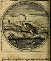An illustration from Joachimi Camerarii Symbolorum et emblematum, centuriae quatuor .. (1668)