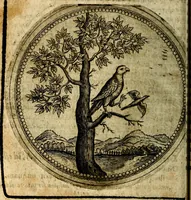An illustration from Joachimi Camerarii Symbolorum et emblematum, centuriae quatuor .. (1668)