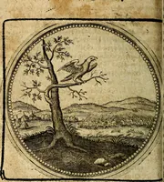 Picture 234 of 398 from Joachimi Camerarii Symbolorum et emblematum, centuriae quatuor .. (1668), leaf 489
