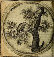 An illustration from Joachimi Camerarii Symbolorum et emblematum, centuriae quatuor .. (1668)