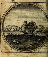 An illustration from Joachimi Camerarii Symbolorum et emblematum, centuriae quatuor .. (1668)