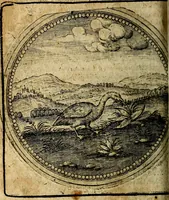 An illustration from Joachimi Camerarii Symbolorum et emblematum, centuriae quatuor .. (1668)