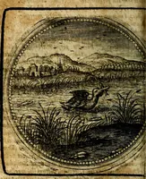 Picture 247 of 398 from Joachimi Camerarii Symbolorum et emblematum, centuriae quatuor .. (1668), leaf 515