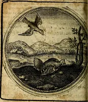An illustration from Joachimi Camerarii Symbolorum et emblematum, centuriae quatuor .. (1668)