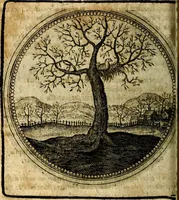 Picture 260 of 398 from Joachimi Camerarii Symbolorum et emblematum, centuriae quatuor .. (1668), leaf 541